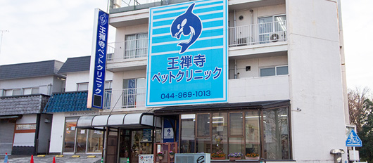 本院