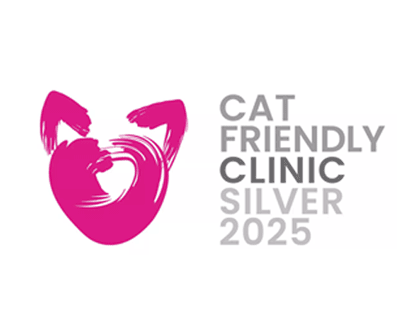 CAT FRIENDRY CLINIC SILVER 2025