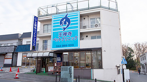 本院