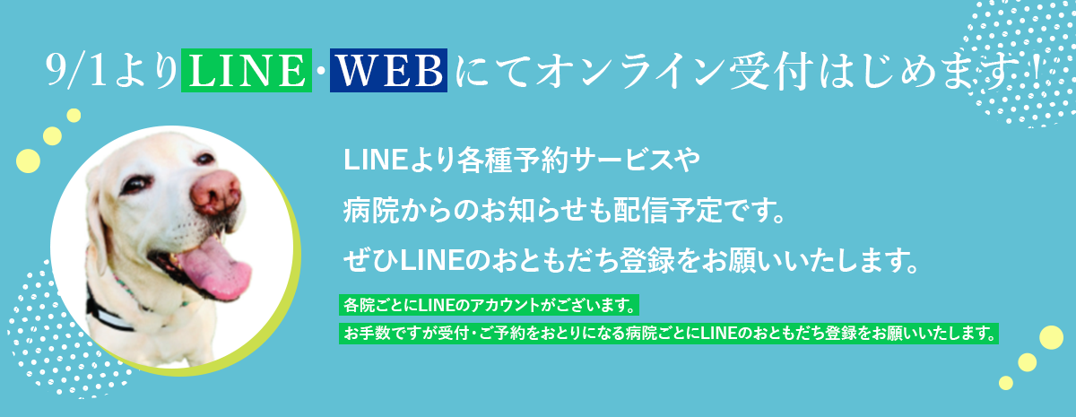9/1よりLINE・WEBにてオンライン受付はじめます！