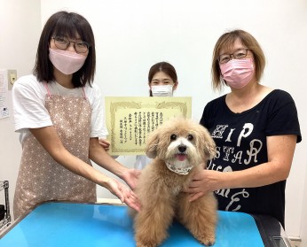 イメージ