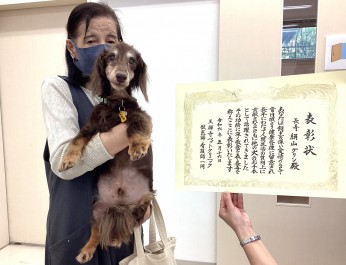 イメージ